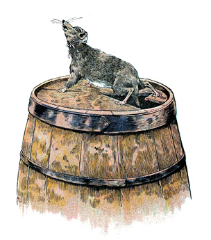 sa queue �tait coll�e