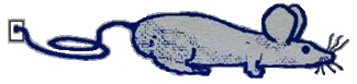 READER Mouse